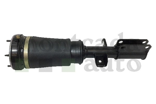 Air Suspension Strut