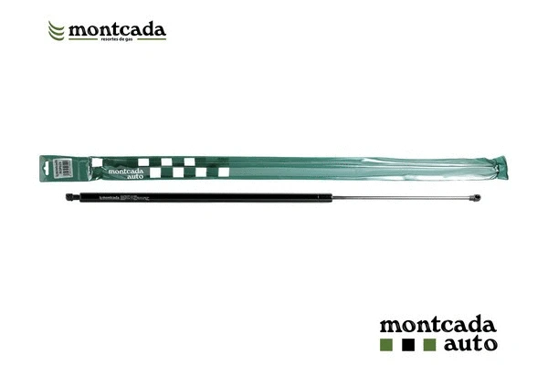 Gas Spring, boot/cargo area