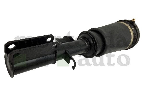 Air Suspension Strut