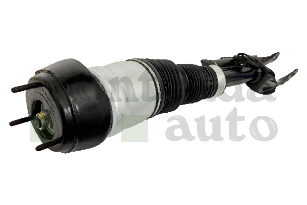 Air Suspension Strut
