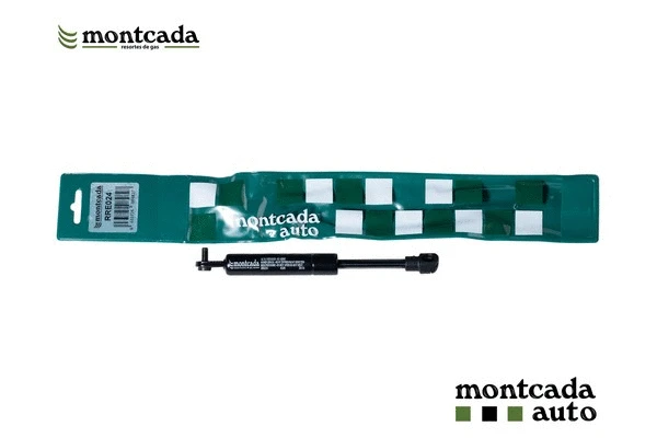 Gas Spring, boot/cargo area