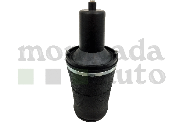Air Spring, suspension