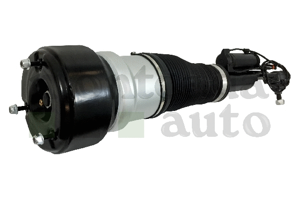Air Suspension Strut