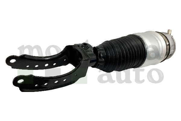 Air Suspension Strut