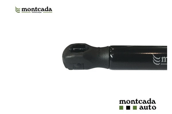 Gas Spring, boot/cargo area