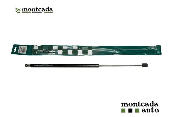 Gas Spring, boot/cargo area