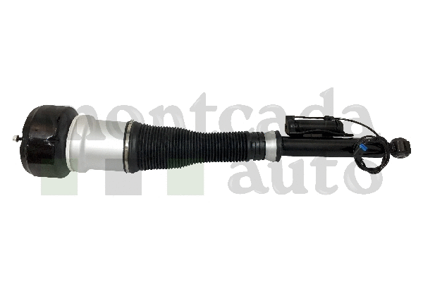 Air Suspension Strut
