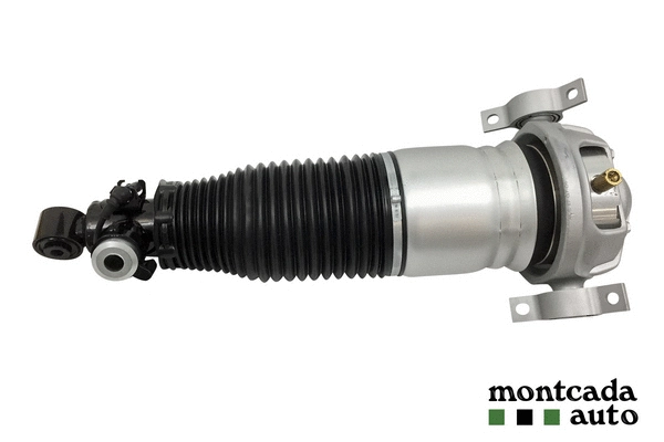 Air Suspension Strut (0296940)