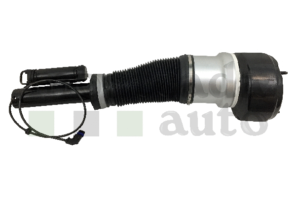 Air Suspension Strut (0296520)