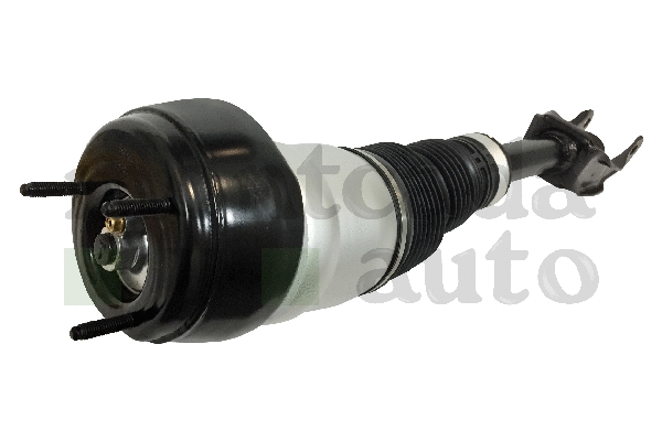 Air Suspension Strut