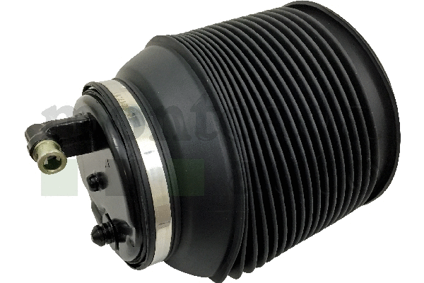 Air Spring, suspension (0296370)
