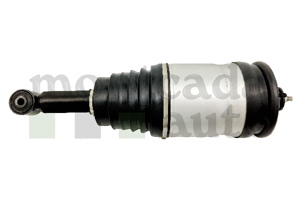 Air Suspension Strut (0296225)