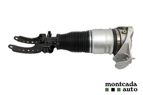 Air Suspension Strut (0296930)
