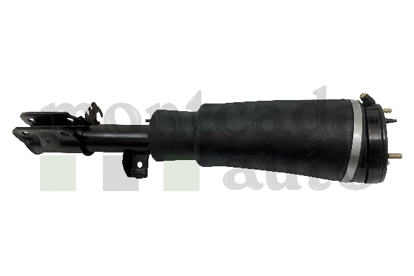 Air Suspension Strut (0296265)