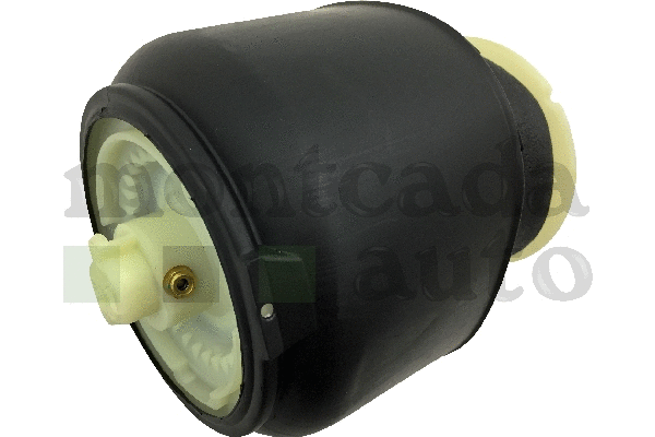 Air Spring, suspension (0296330)