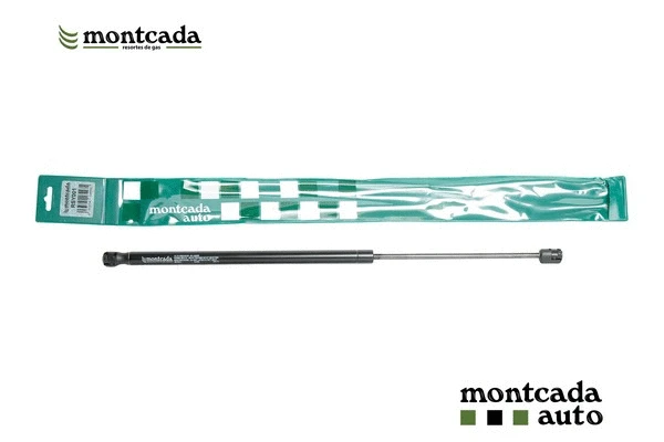 Gas Spring, boot/cargo area