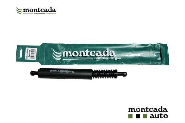 Gas Spring, boot/cargo area