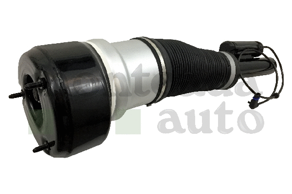 Air Suspension Strut