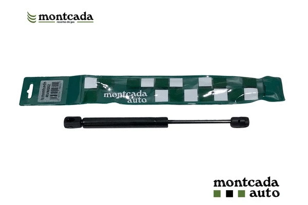 Gas Spring, boot/cargo area