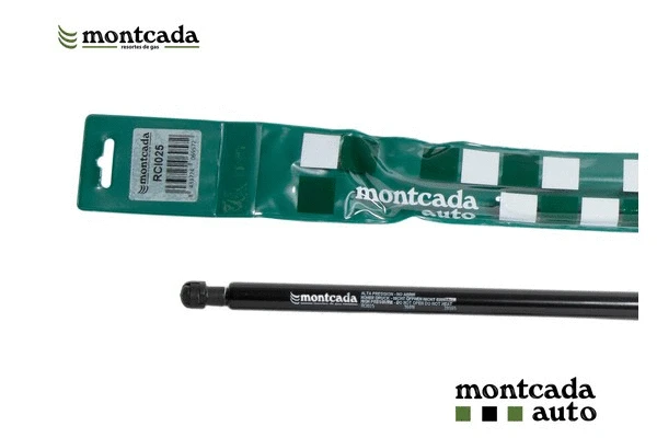 Gas Spring, boot/cargo area (RCI025)
