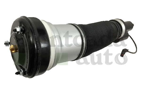 Air Suspension Strut