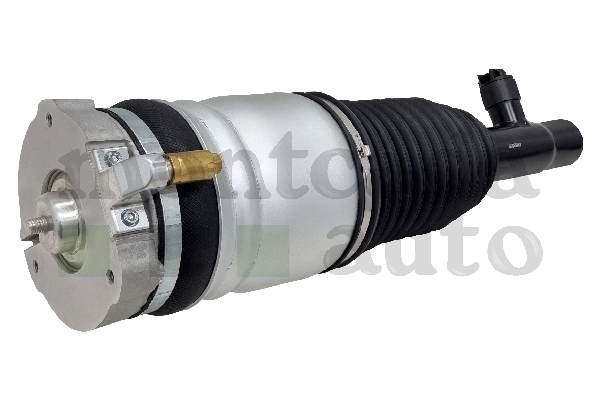 Air Suspension Strut