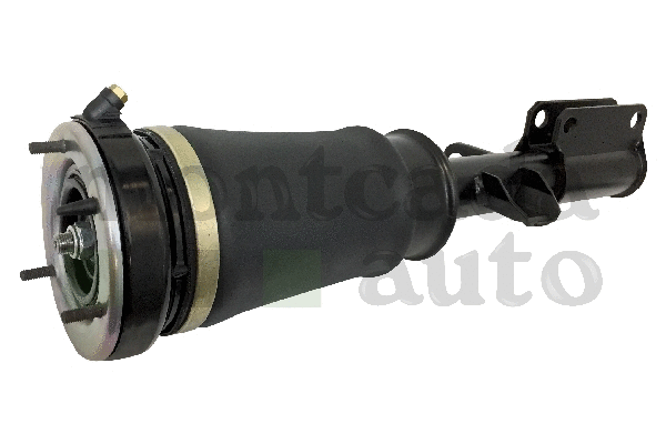 Air Suspension Strut
