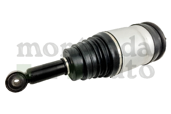 Air Suspension Strut