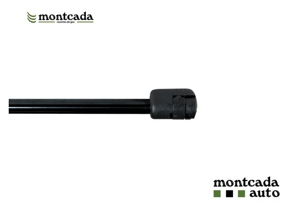 Gas Spring, boot/cargo area