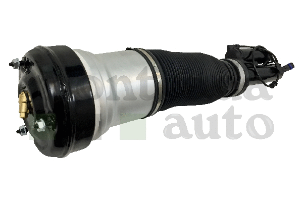 Air Suspension Strut