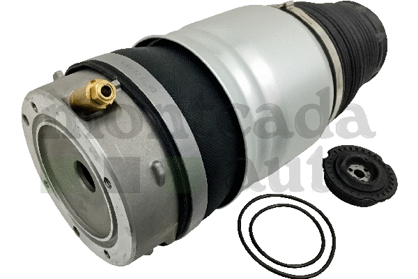 Air Suspension Strut (0296060)