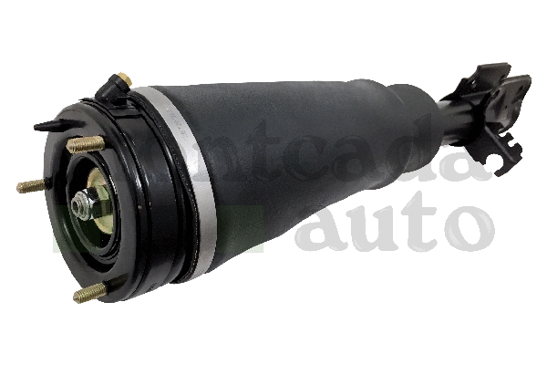 Air Suspension Strut