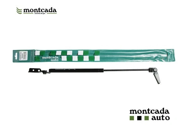 Gas Spring, boot/cargo area