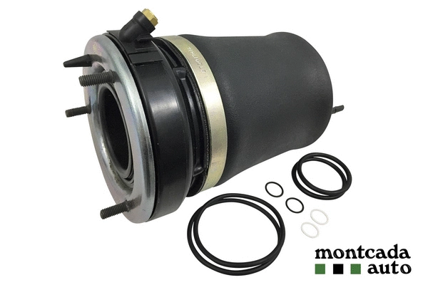 Air Spring, suspension (0296080)