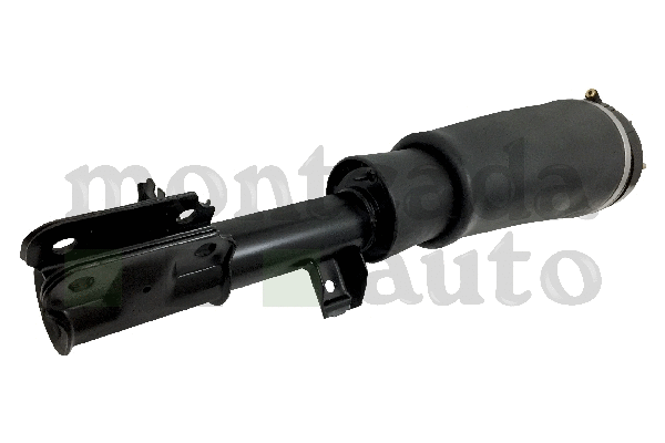Air Suspension Strut