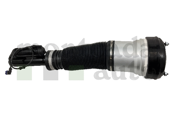 Air Suspension Strut (0296190)