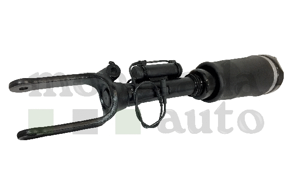 Air Suspension Strut