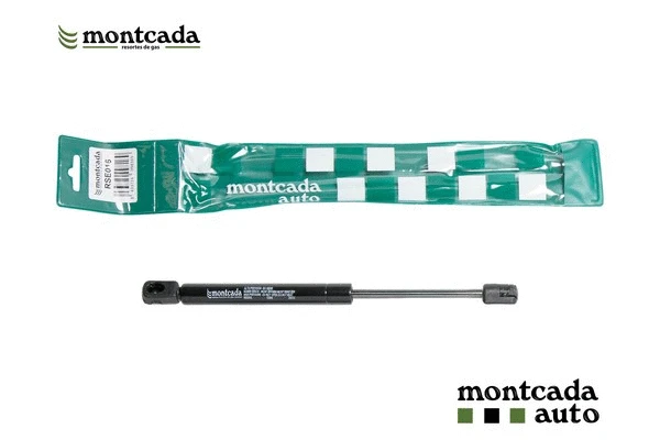 Gas Spring, boot/cargo area