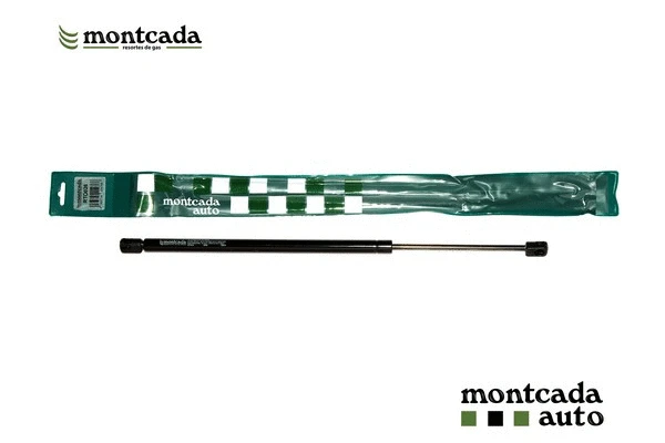 Gas Spring, boot/cargo area