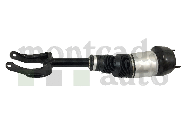 Air Suspension Strut (0296890)