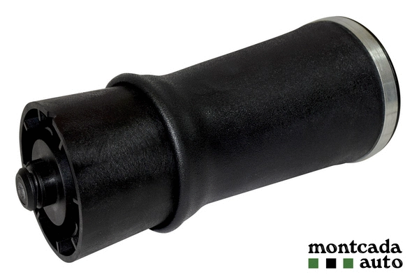 Air Spring, suspension (0296100)