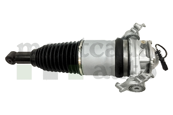 Air Suspension Strut (0296405)