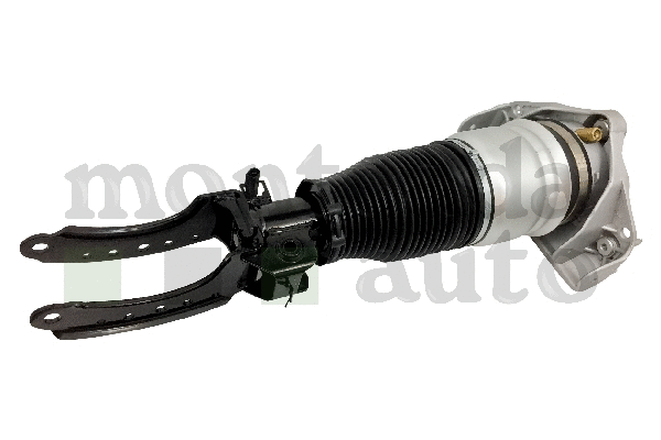Air Suspension Strut