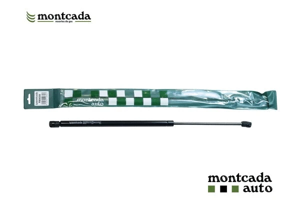 Gas Spring, boot/cargo area