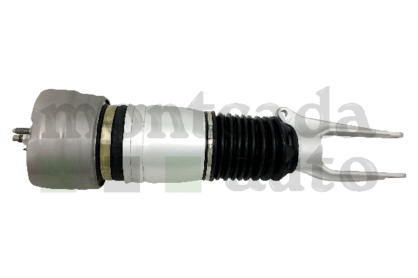 Air Suspension Strut