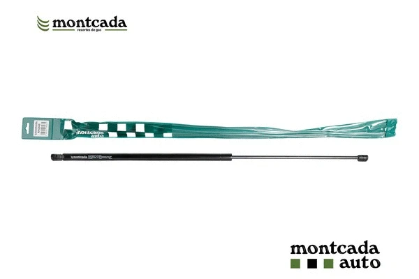 Gas Spring, boot/cargo area