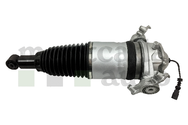 Air Suspension Strut (0296395)