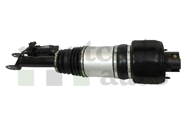 Air Suspension Strut (0296285)