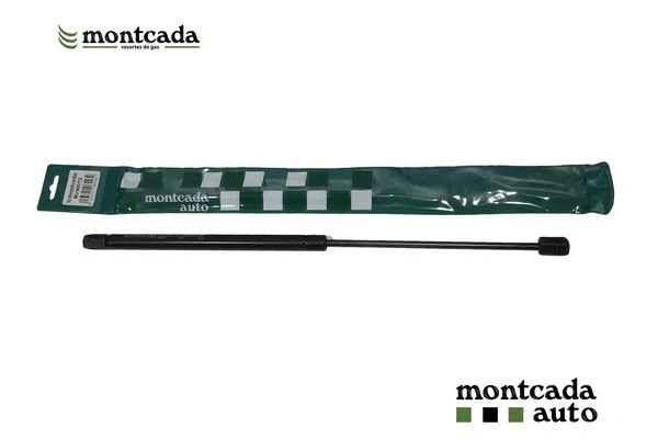 Gas Spring, boot/cargo area