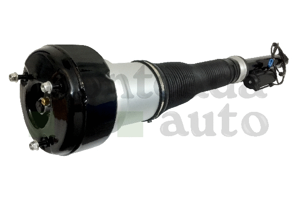 Air Suspension Strut